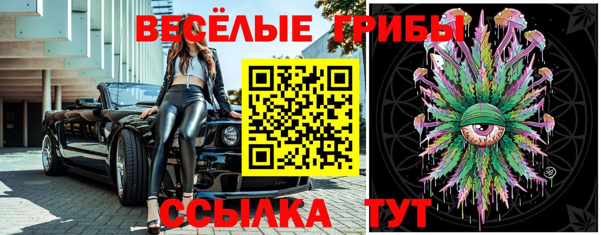 купить   Псилоцибиновые грибы ЛСД  Вход с VPN  Галлюциногенные грибы ЛСД  Ессентуки 