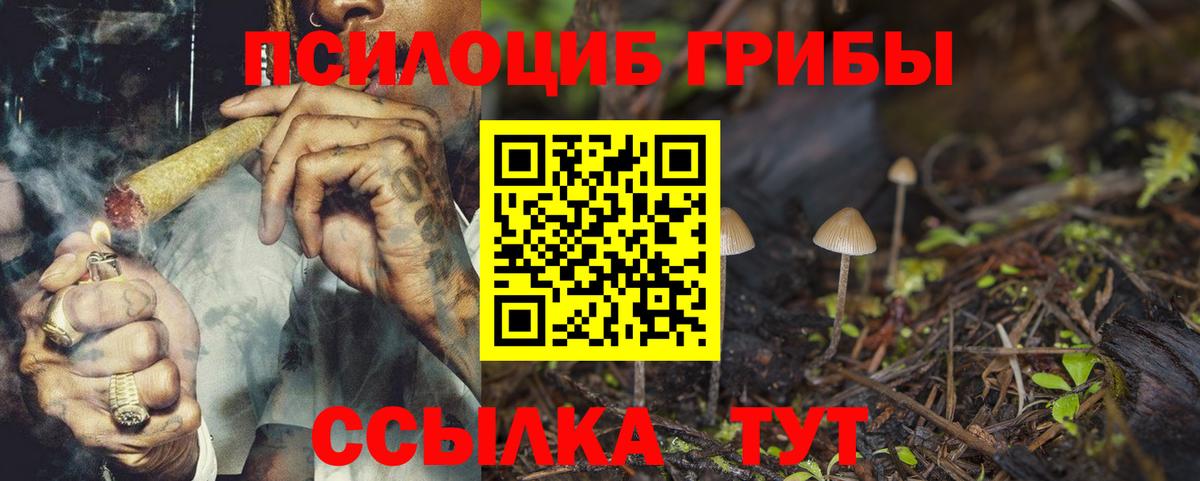 Псилоцибиновые грибы ЛСД Ессентуки